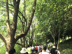 -天目湖山水园
