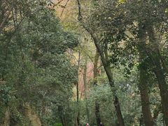 -岳麓山风景名胜区