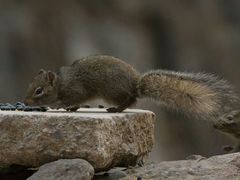 -北京清河镇农副产品交易市场中心