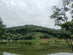 -南山风景名胜区