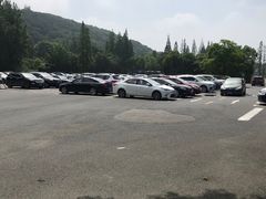 -上海佘山国家森林公园东门地面停车场
