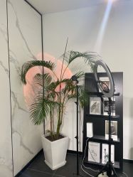 -张小野·专业半永久纹眉