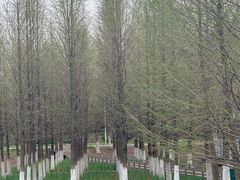 -泰州凤城河风景区-泰山公园