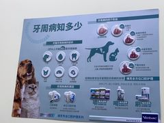 -天宠宠物医院24小时·急重症诊疗中心·全科·腔镜特色(和平分院)