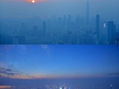 景观位-瑞吉酒店·The Drawing Room闲逸廊·云端下午茶·夜奢Whiskey