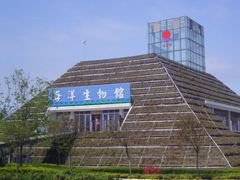 -刘家湾赶海园
