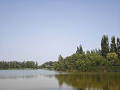 -翠湖国家城市湿地公园