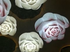 -大佛寺高级素食自助餐厅