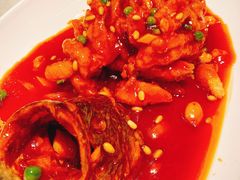 鳜鱼-蝶园·装修中(BFC外滩金融中心店)