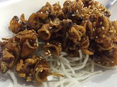 鱿鱼-珍宝海鲜(东海岸海鲜中心)