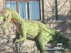 -国家自然博物馆