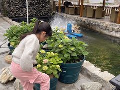 -京北渔家傲