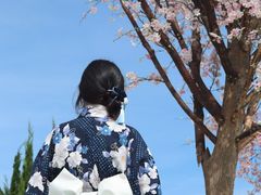 -Blue Concept Cafe&Farm·關於藍