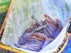 -巽寮印象美食部落餐厅·海鲜·地方特色菜(惠州体验店)