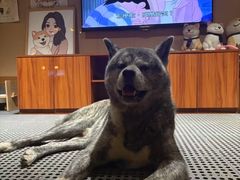 -大江户·温泉洗浴(浑南店)