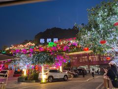 -枇杷园食为鲜火锅(南山店)