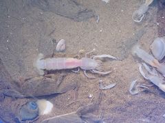 -东戴河风景区-止锚湾