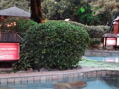 -森波拉火山温泉