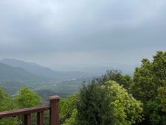 -午潮山国家森林公园
