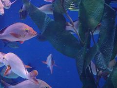 -成都浩海立方海洋公园