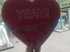 -楠柏弯休闲山庄(梨花溪店)
