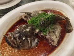 -白云中餐厅·粤菜·亚龙湾喜来登度假酒店