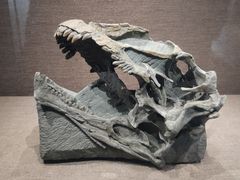 -自贡恐龙博物馆