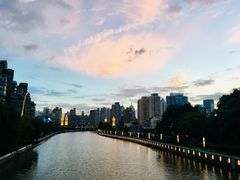 -新湖明珠城
