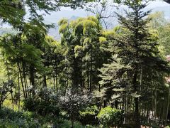 -莫干山风景区