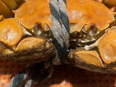 -松咖啡自助餐厅·松北香格里拉