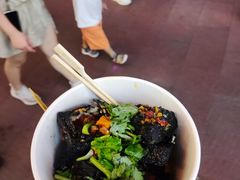 -黑色经典臭豆腐·湖南特产(潇湘文化店)