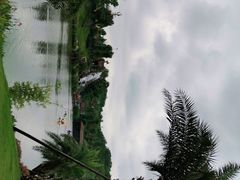 -枫香湖儿童公园