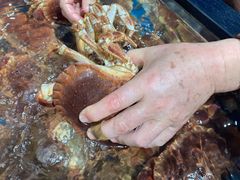 面包蟹-盒马鲜生(曜一城店)
