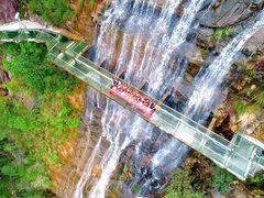 -九龙江国家森林公园