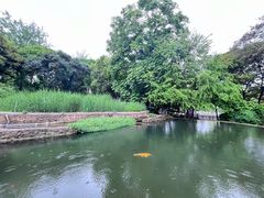 -成都市活水公园