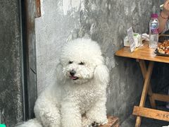 -南门黄孃甜不辣
