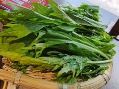 东巴野菜-阿婆情腊排骨火锅·野生菌季(古城旗舰店)
