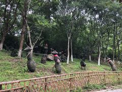 -天目湖山水园