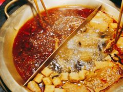 -九鼎轩脆毛肚火锅(南京东路店)