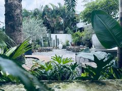 -自由生长植物工作室(深港花卉中心店)