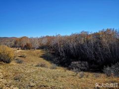 -塞罕坝国家级自然保护区