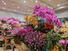 -双季花艺园艺市场(浦东店)