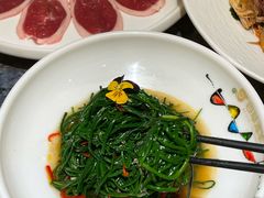 -百草滩羊清水涮羊肉·清真·宁夏盐池滩羊(莲花桥店)