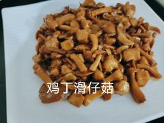 口蘑烧春笋-听涛雅苑百味饺子老家菜馆
