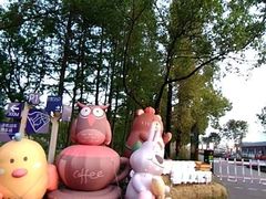-嘉北郊野公园
