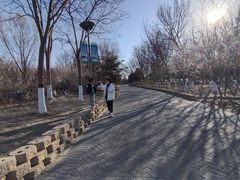 -大兴滨河森林公园