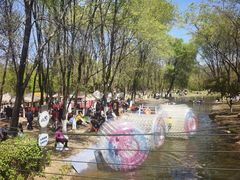 -长白岛森林公园