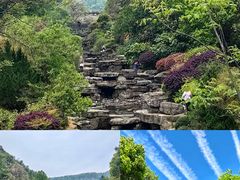 -桃花岭景区