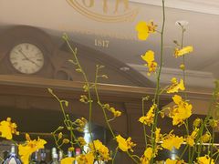 -COVA(环贸iapm店)