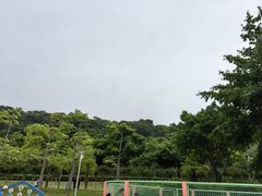 -飞凤山奥体公园